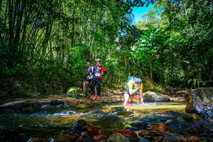 BIB: 
                            <button type="button" onclick="openModal(21765174)" class="btn btn-primary btn-sm float-right btn-popup" data-toggle="modal" data-target=".modal-high-quality">
                        <i class="fas fa-shopping-cart"></i> Add to Cart
                    </button>
                                            <button type="button" onclick="isThisMe(21765174, true)" class="btn btn-success btn-sm float-right btn-popup btn-isme hidden" data-toggle="tooltip" data-placement="bottom" title="นี่คือรูปของคุณใช่ไหม คลิกที่นี่เพื่อเอาเข้าอัลบั้ม">
                        <i class="fas fa-plus"></i> Add to album
                    </button>
                    <button type="button" onclick="isThisMe(21765174, false)" class="btn btn-warning btn-sm float-right btn-popup btn-isnotme hidden">
                        <i class="fas fa-ban"></i> Remove from album
                    </button>